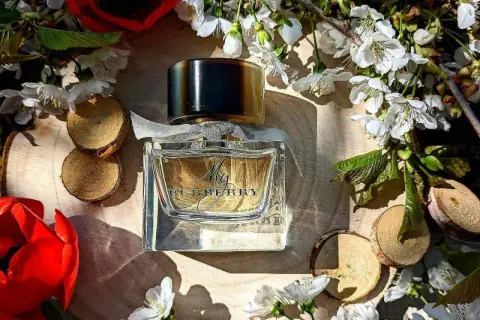 Perfumy My Burberry w eleganckiej, szklanej butelce, otoczone kwitnącymi gałązkami i czerwonymi kwiatami.