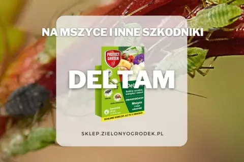 DELTAM insektycyd na mszyce i inne szkodniki. Opakowanie produktu Protect Garden. Działanie widoczne już po 15 minutach.