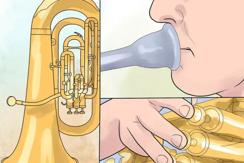 Ein Euphonium und eine Tuba im Vergleich: Mundstück und Ventile.