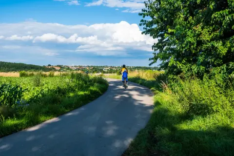 Osoba na rowerze przemierza malowniczą trasę velo natura, otoczoną zielenią pól i drzew, pod błękitnym niebem z chmurami.