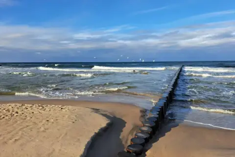 Plaża z falochronem i mewami. Z Poznania pociągiem dojedziesz do wielu miast nad morzem, np. do Trójmiasta czy Kołobrzegu.