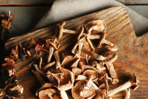 Getrocknete Pilze auf einem Holzbrett, bereit zum Kochen. Das Trocknen von Pilzen ist eine tolle Methode, um ihren Geschmack zu konservieren.