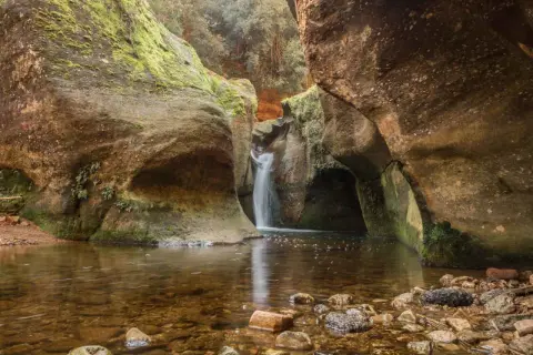 Cascada en el gorg de la Mola, rodeada de rocas cubiertas de musgo y vegetación. El agua clara refleja el entorno natural.