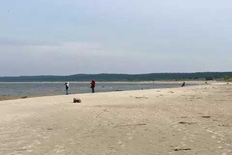 Spacer po piaszczystej plaży na Żuławach Wiślanych. W oddali widać las i morze.