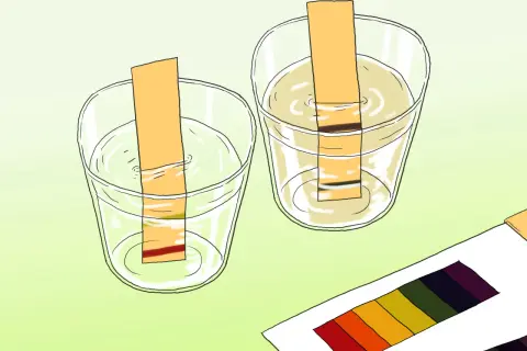 Deux bandelettes réactives dans des verres d'eau pour mesurer le ph, avec une palette de couleurs à côté.