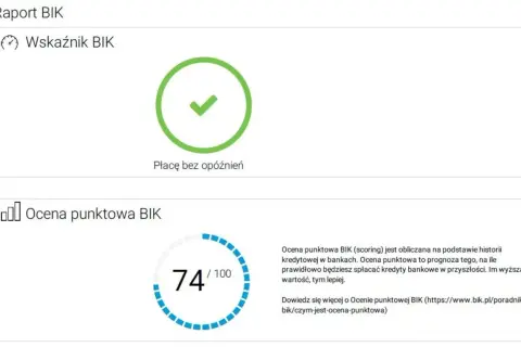 BIK: Jak sprawdzić swoją historię kredytową i zwiększyć szanse na kredyt?