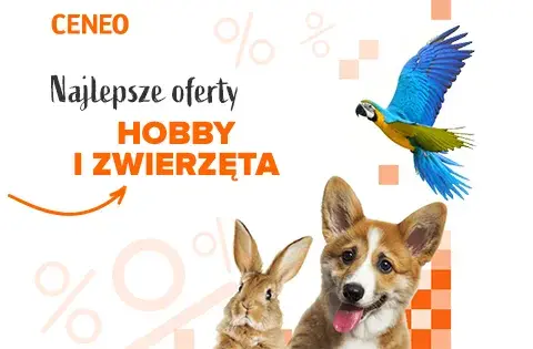 Ile kosztuje klatka dla papugi? Ceny, które zaskoczą każdego właściciela