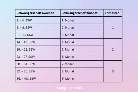 Tabelle zeigt Schwangerschaftswochen, welche SSW welcher Monat ist, und Trimester.