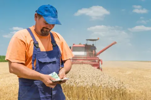 Do kiedy faktury za zboże? Nie przegap ważnych terminów!