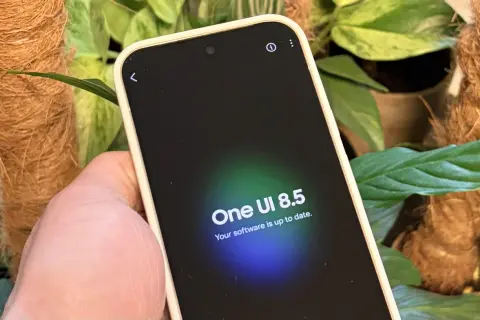 Telefon z One UI 8.5, informujący o aktualności oprogramowania, otoczony zielenią roślin.