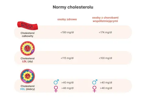 Czy cholesterol 240 to dużo? Normy, zagrożenia i skuteczne sposoby na obniżenie