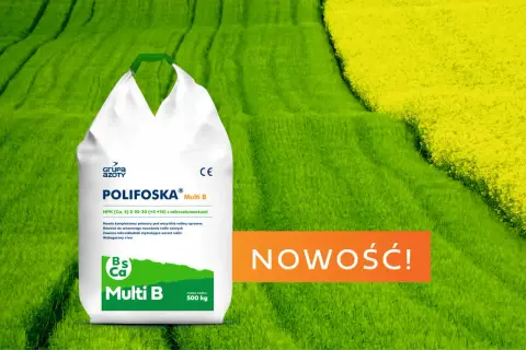 Worek nawozu Polifoska Multi B na tle zielonych i żółtych pól. Nowość dla roślin!
