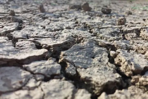 Terreno arido e crepato, un esempio di suolo che necessita di tecniche per come abbassare la salinità del terreno e renderlo fertile.