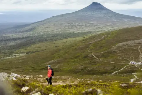 Vandrare med hund njuter av utsikten över berg i dalarna. En bilparkering syns i fjärran.