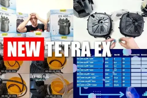 Tetra EX 800 Plus: Czy przecieka? Recenzja i porównanie