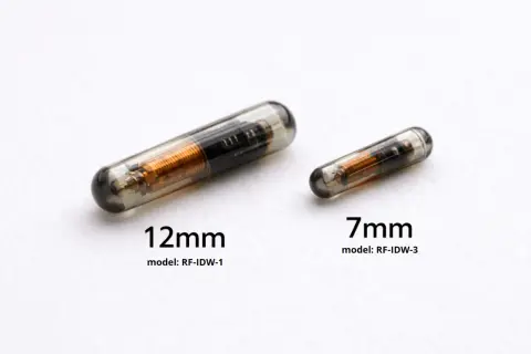 Dwa chipy dla psa: większy 12 mm i mniejszy 7 mm, oba w szklanej kapsułce z widocznym miedzianym uzwojeniem.