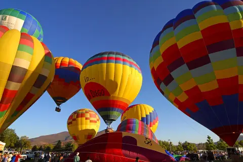 Balon: jaki to rodzaj? Rozwiewamy wątpliwości i uczymy odmiany