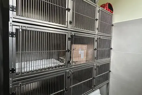 Klatki weterynaryjne – jak wybrać odpowiednią konfigurację dla swojej lecznicy?