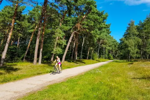 Wicie atrakcje: odkryj rodzinne skarby i niezapomniane chwile