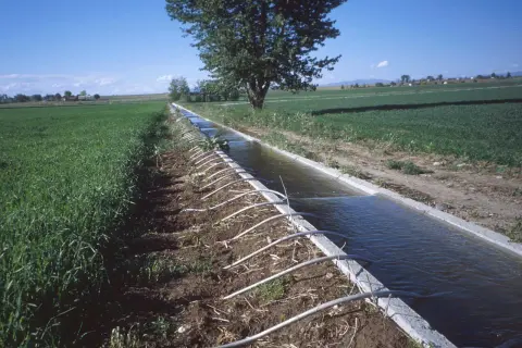 Repartir el agua para el riego: estrategias para evitar la escasez
