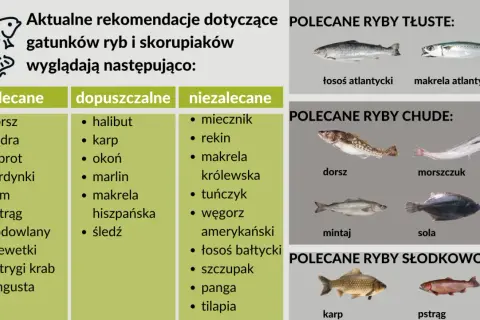 Lista polecanych ryb morskich i słodkowodnych, w tym dorsz, makrela i łosoś.