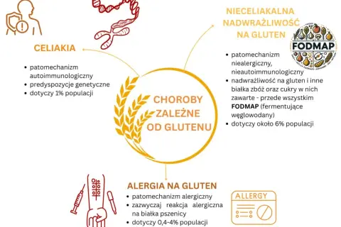Celiakia, alergia, nadwrażliwość: Jakie badania na gluten wykonać?