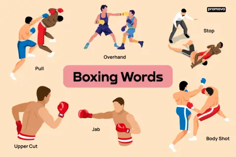 Illustrations of boxing moves like "Pull," "Overhand," "Stop," "Upper Cut," "Jab," and "Body Shot" are displayed with the title "Boxing Words.