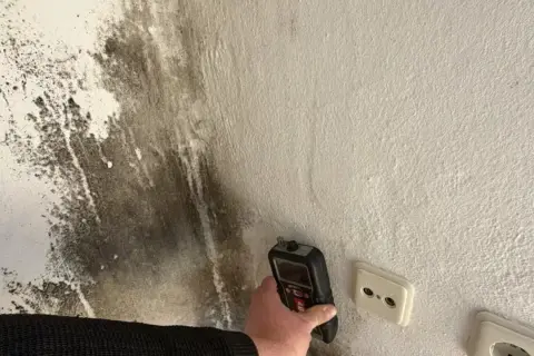 Ein Gerät misst die Feuchtigkeit an einer **schimmeligen Wand**. Dunkle Flecken breiten sich aus.