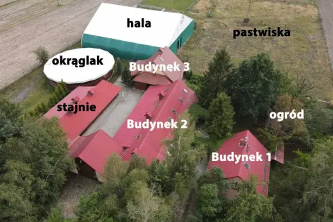 Widok z lotu ptaka na stadninę koni z budynkami, halą, okrąglakiem i pastwiskami.