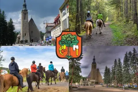 Stadnina koni Limanowa - najlepsze stajnie i usługi jeździeckie