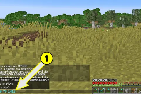 Jak teleportować się w Minecraft? Komenda /tp -240 79 1418 pozwala na natychmiastowe przemieszczenie gracza.