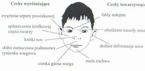 FAS: objawy psychiczne. Jak rozpoznać i wspierać dziecko z FASD?