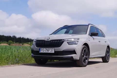 Szary Skoda Kamiq na tle pola i nieba.