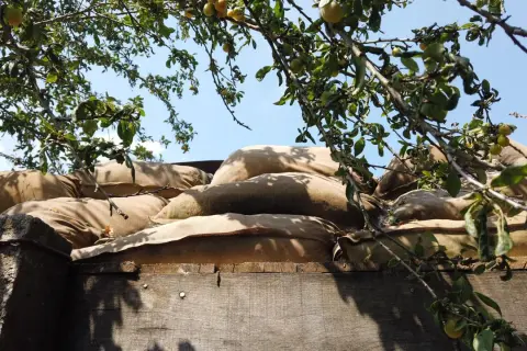 Sacs de sable empilés, rappelant les tranchées. Combien reste-t-il de survivants de la Première Guerre mondiale ? L'arbre fruitier au-dessus symbolise la vie qui continue.