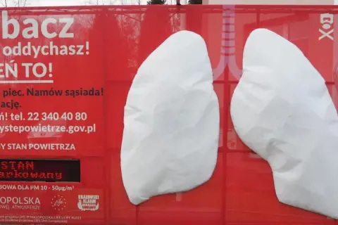 Plakat z płucami i napisem "Zobacz czym oddychasz! Zmień to!". Informuje o smogu i normach lzo normy.