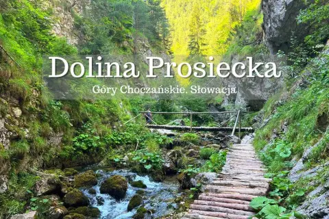 Malownicza Dolina Prosiecka w Górach Choczańskich, Słowacja. Drewniany chodnik wzdłuż potoku, zielone zbocza i skalne ściany. Jedna z pięknych słowackich atrakcji turystycznych.