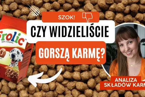 Najgorsza karma dla psa – unikaj tych składników i marek