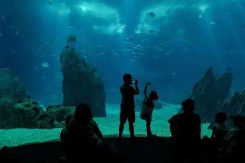 Oceanarium lubelskie - odkryj sekretne atrakcje i godziny otwarcia