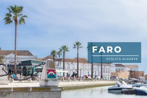 Faro, stolica Algarve, w listopadzie. Palmy, łodzie w marinie i budynki w tle.