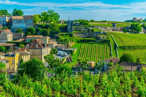 Malownicze winnice i kamienne domy w Bordeaux, gdzie dojrzewa wino.