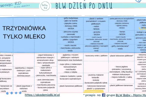 Menu dla 8-miesięcznego dziecka: ile posiłków dla 8 miesięcznego dziecka? Tabela BLW pokazuje różnorodne propozycje.