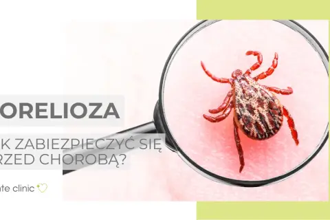 Kleszcze i borelioza: Jak skutecznie zapobiegać i co robić po ukąszeniu?