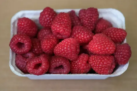 Pyszne, soczyste maliny w białym pojemniku. Zastanawiasz się, czy maliny się myje przed jedzeniem? Tak, zawsze warto je delikatnie opłukać.