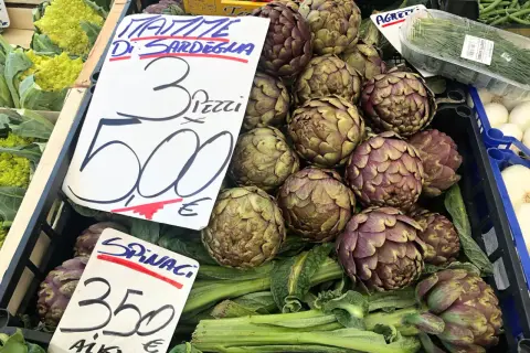 Frische Artischocken von Sardinien, die Frage "wie schmeckt Artischocke" wird durch ihren erdigen, leicht nussigen Geschmack beantwortet.