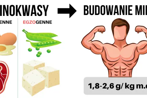 Białko dla sportowców: Ile g/kg m.c. na masę i redukcję?