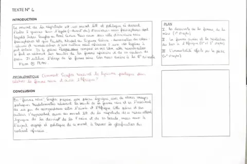 Le texte parle de la femme noire, de sa beauté et de son lien avec l'Afrique, dans le contexte du mouvement littéraire de la négritude.