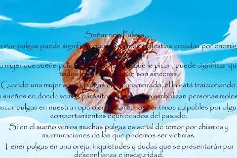 Soñar con pulgas: significado profundo y lo que revela de ti