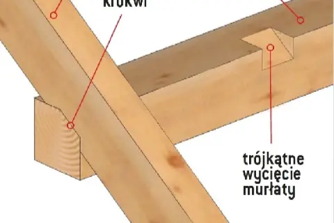 Zacinanie krokwi w dachu dwuspadowym: wycięcie krokwi i trójkątne wycięcie murłaty.