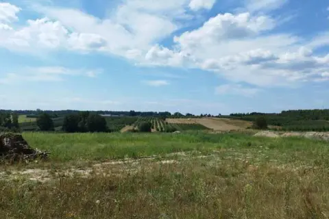 Grójec atrakcje: odkryj najciekawsze miejsca i aktywności w regionie