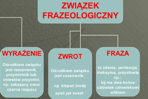 Frazeologizmy przykłady i wyjaśnienia, które zaskoczą Twoich rozmówców